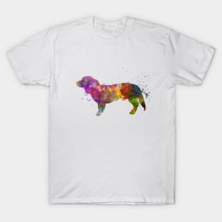 Alpine Dachsbracke  in watercolor T-Shirt